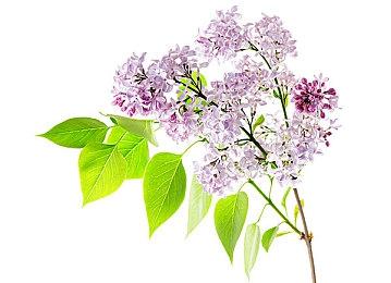 《吸血鬼：避世血族2》由新工作室开发 P社对进度满意